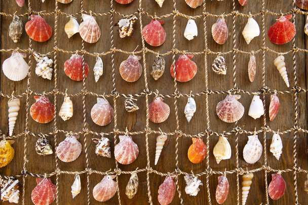 Tapiz mural de conchas marinas
 - Foto, Imagen