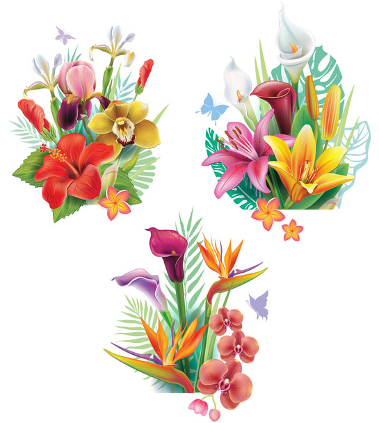 arrangements from tropical flowers - Vektor, Bild