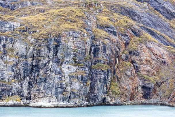 Aljaška je podzimní barvy - Fotografie, Obrázek