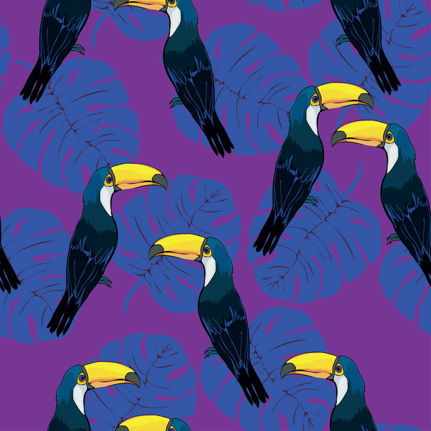 Toucan birds seamless patterm - Vecteur, image