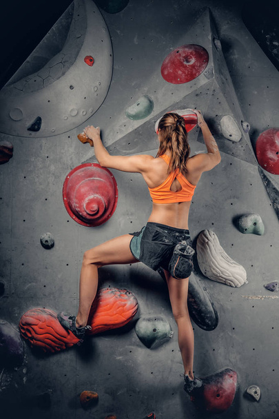Female on indoor climbing wall. - Photo, Image