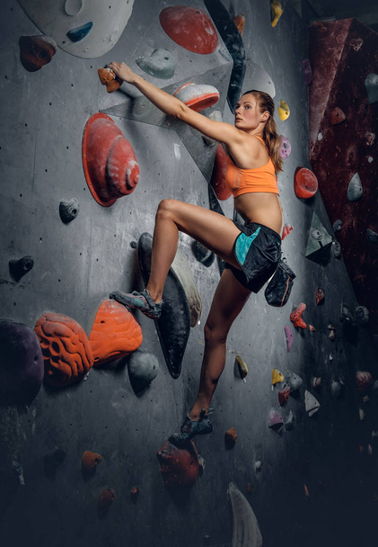 Female on indoor climbing wall. - Photo, Image