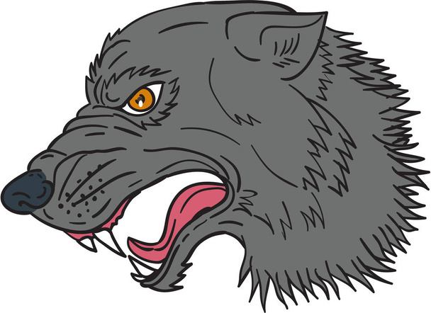 Grey Wolf Head Growling Drawing - Vettoriali, immagini