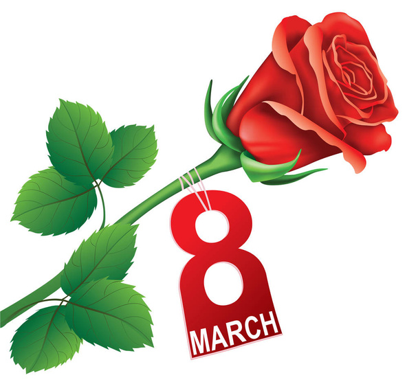 Internationale Vrouwendag, briefkaart met rode roos. 8 maart - Vector, afbeelding