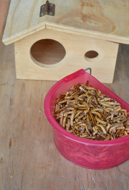 ξηρό σκουλήκι για τη σίτιση κατοικίδιο ζώο και ξύλινο σπιτάκι - Φωτογραφία, εικόνα