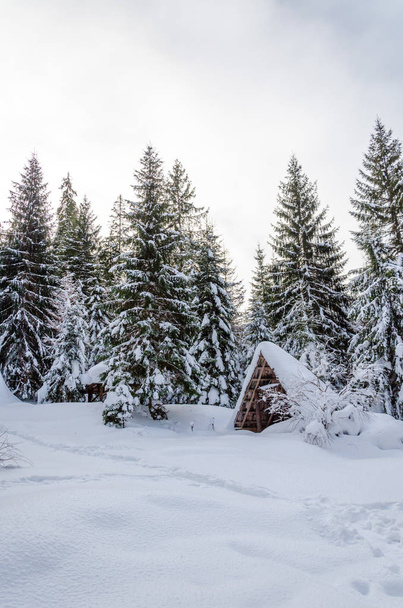 Casa en una ladera cubierta de nieve y árboles verdes en la ladera
 - Foto, imagen