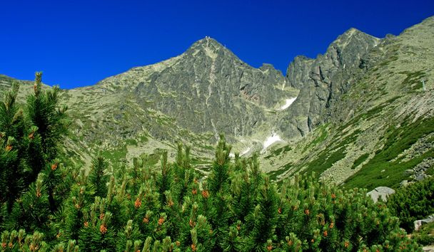 Peeling in der hohen Tatra - Foto, Bild