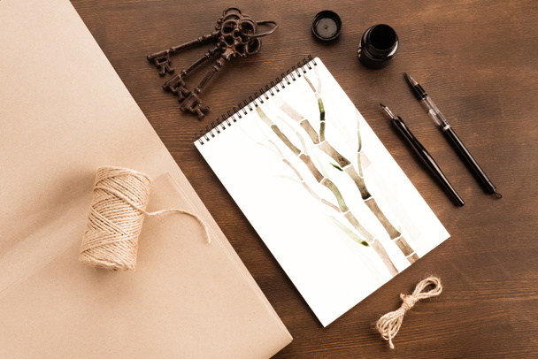 bamboo drawing in album - Photo, Image