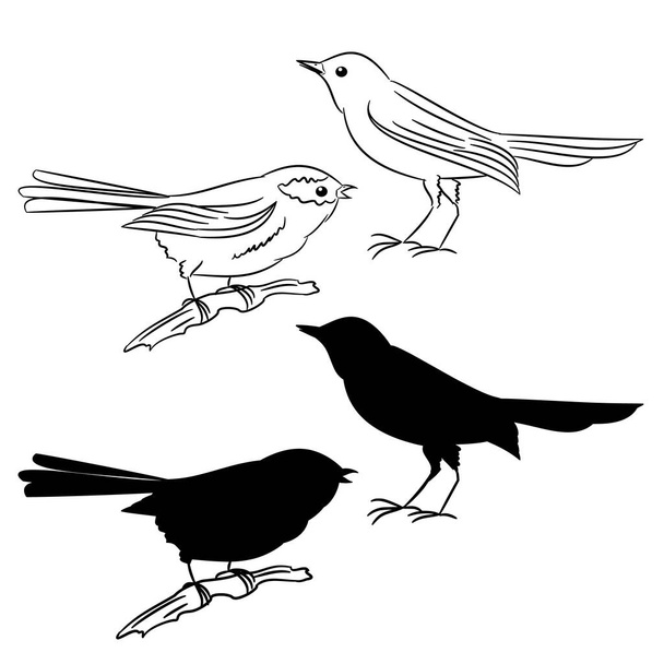 die Umrisse und die Silhouette der Vögel der erste eingestellte Vektor - Vektor, Bild