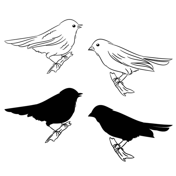 Il profilo e la silhouette degli uccelli Il primo vettore impostato
 - Vettoriali, immagini