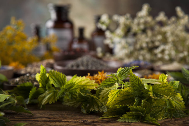 natural medicine, Herbal medicine  - Photo, Image