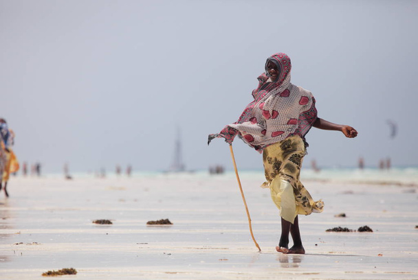 woman on sandy beach - Foto, Imagem