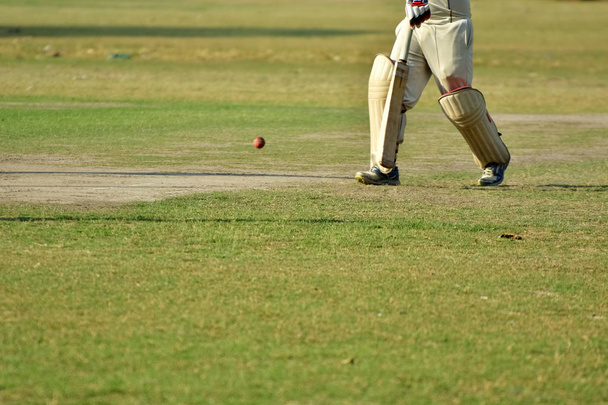 Los chicos juegan al cricket.
 - Foto, Imagen