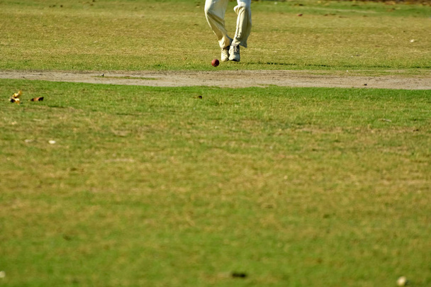 Cricketspieler greifen nach Ball - Foto, Bild
