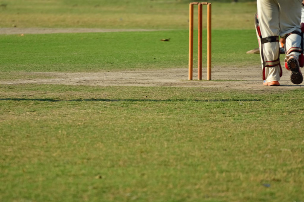 Meninos jogando críquete
 - Foto, Imagem