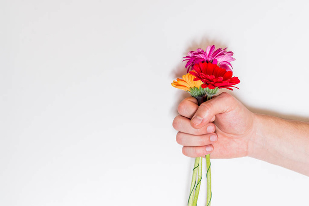 colorful flowers in male hand - Foto, immagini