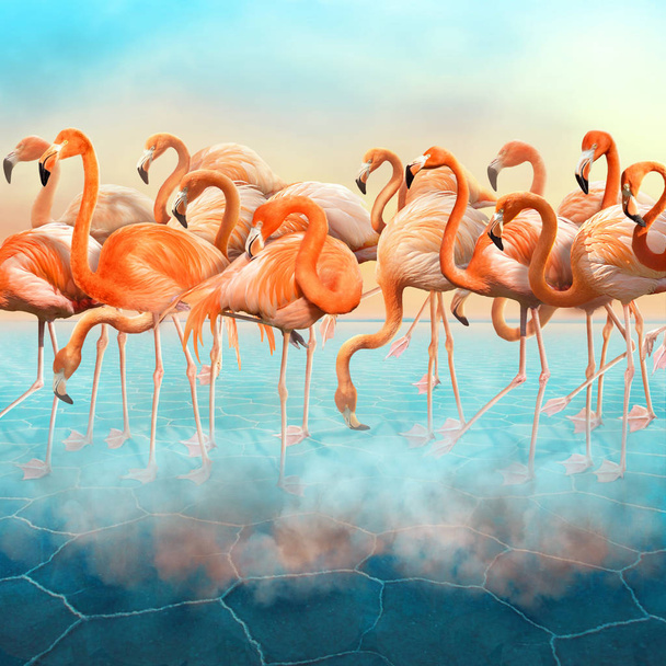 Compositing of Beautiful red flamingo in desert  - Photo, Image