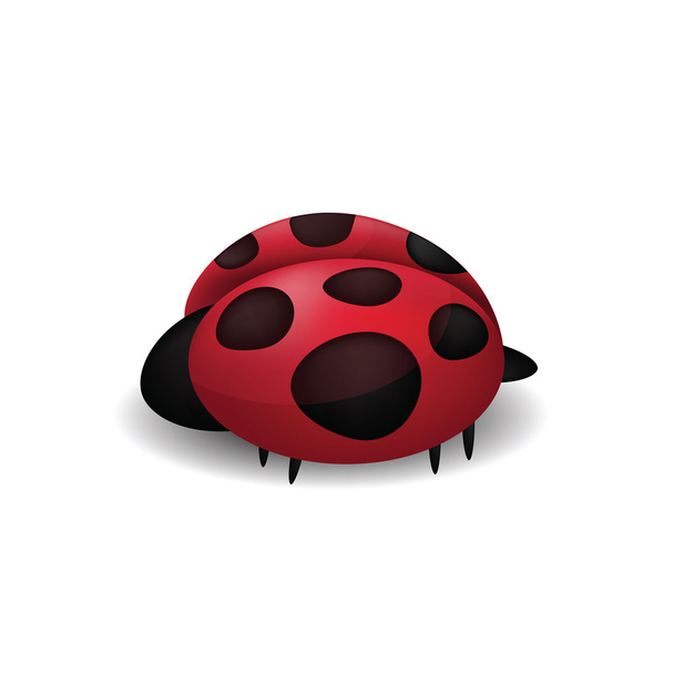 Ladybug isolated on white - Wektor, obraz