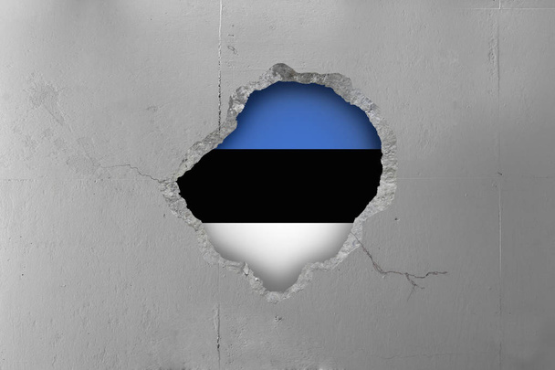 Estońska flaga za betonową ścianę. - Zdjęcie, obraz