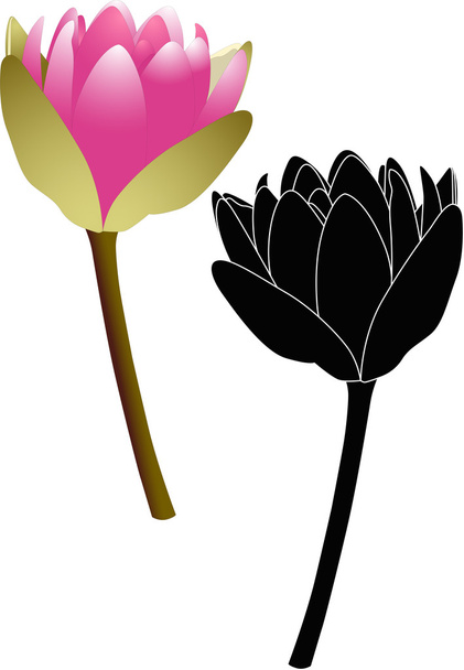 Lotusblüte - Vektor, Bild