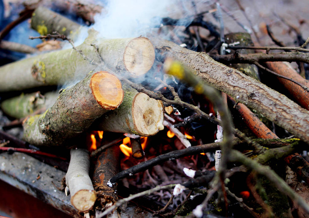 Burning wood in a brazier. Fire. - Photo, Image