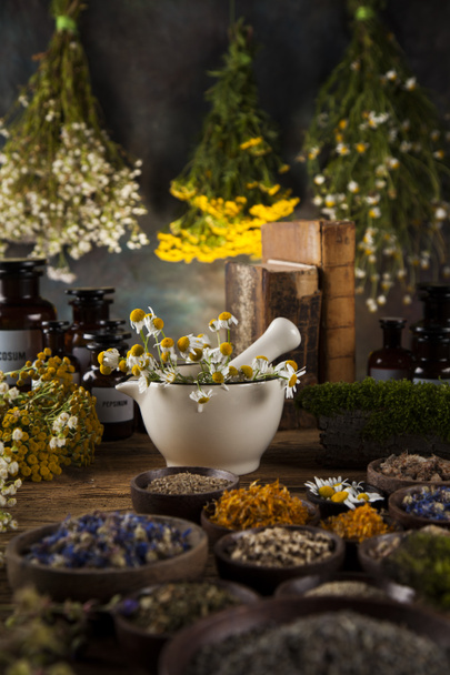 Medicina herbal em mesa de madeira
 - Foto, Imagem