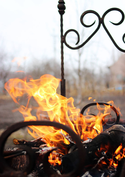 Burning wood in a brazier. Fire. - Photo, Image