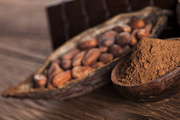 Cocoa pod and cocoa beans  - Photo, Image