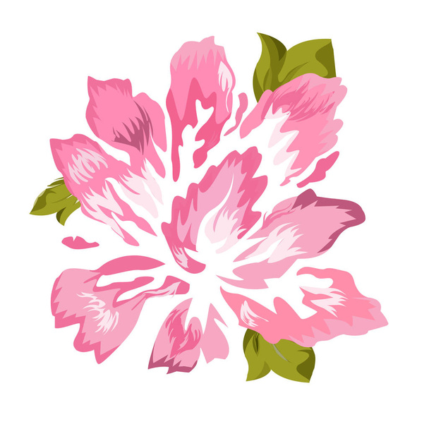 Peonía rosa sobre fondo blanco, vector. Ilustración de flor
 - Vector, imagen