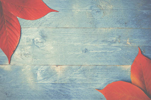 Autumn Leaves on blue, grunge, wooden background - Fotó, kép