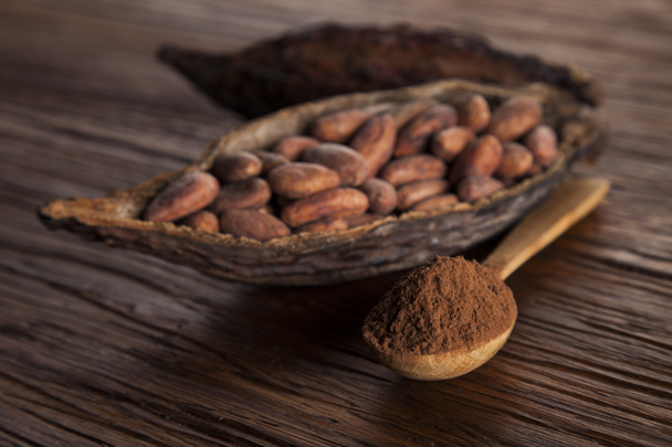 Kakaoschote und Kakaobohnen  - Foto, Bild