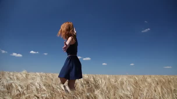Vöröshajú lány a búza field nyári napon. - Felvétel, videó
