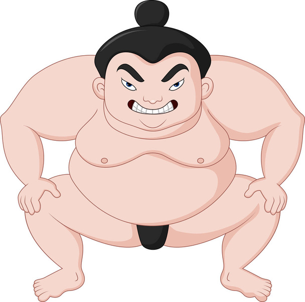 Cartoon sumo wrestler - Vector, Image