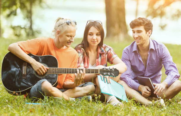 group of students with a guitar resting in the Park on a Sunny day - Fotoğraf, Görsel