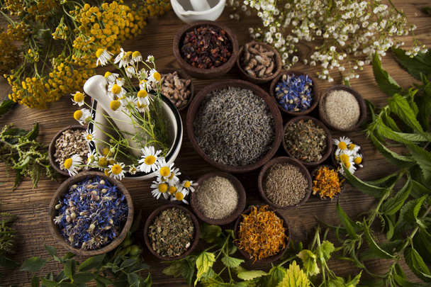 ervas curativas, medicina natural
  - Foto, Imagem