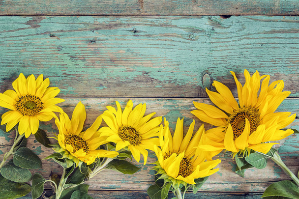 Background with yellow sunflowers on old wooden boards with peel - Foto, immagini