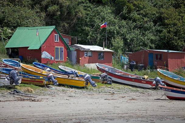 Punihuil ranta, Chiloe saari, Chile
 - Valokuva, kuva