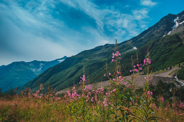Elbrus, montañas en verano. Montañas del Gran Cáucaso desde el Monte Elbrus
 - Foto, imagen