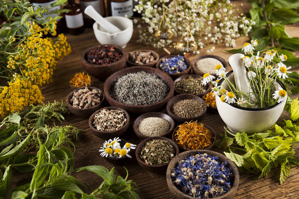 Alternative medicine, dried herbs - Foto, imagen