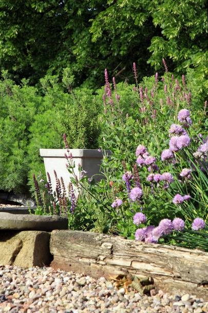  Ecofriendly home garden.  - Photo, Image