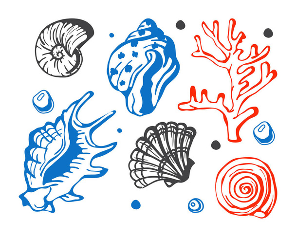 Sea marine shells hand drawn sketch vector illustration. - Wektor, obraz