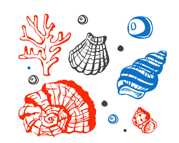 Sea marine shells hand drawn sketch vector illustration. - Vecteur, image