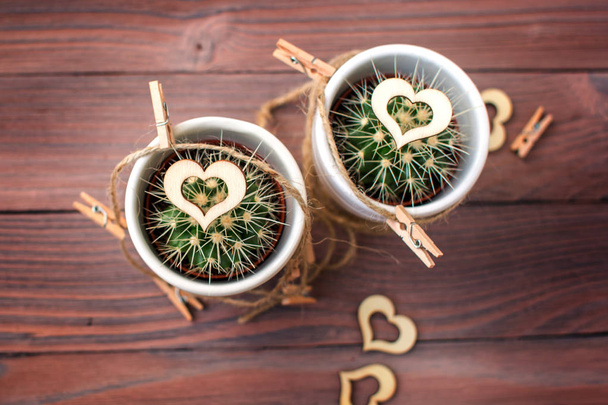 Cactussen met houten en natuurlijk touw van de harten van de liefde - Foto, afbeelding