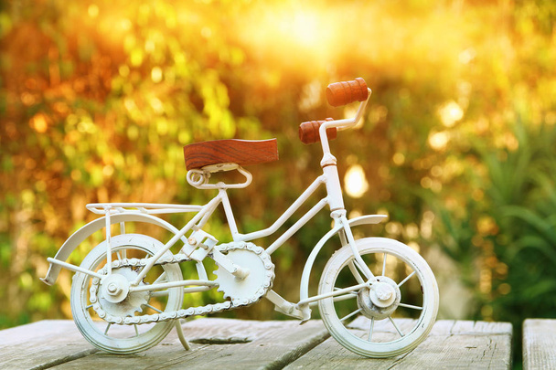 Vintage bicycle toy waiting outdoors in the garden - Foto, Imagem