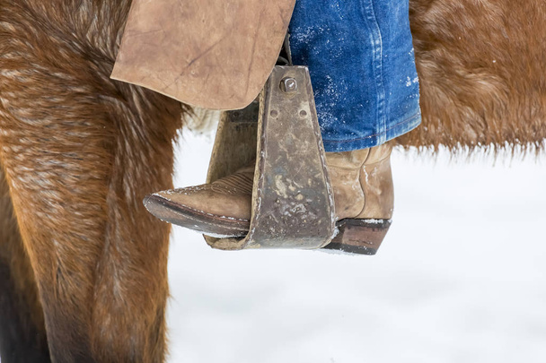 Cowboys terelő lovak a hóban - Fotó, kép