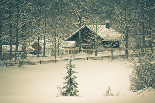 Maison alpine enneigée dans les bois
 - Photo, image