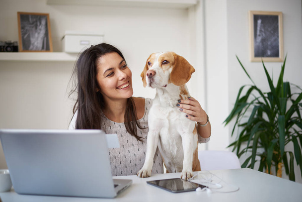 young beautiful woman with beagle dog - Fotografie, Obrázek