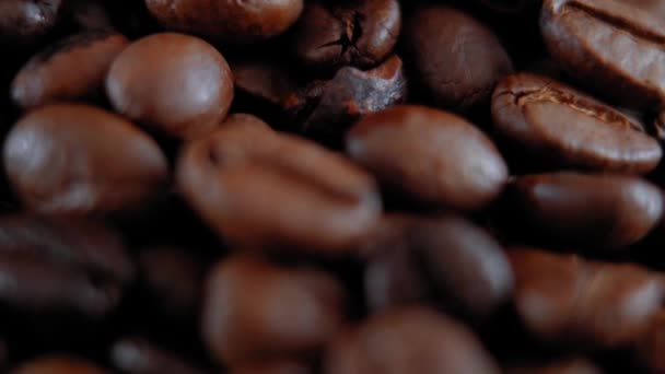 Fresh roasted coffee beans - Filmagem, Vídeo