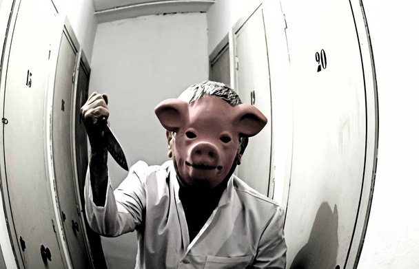Faca de porco masculina
 - Foto, Imagem
