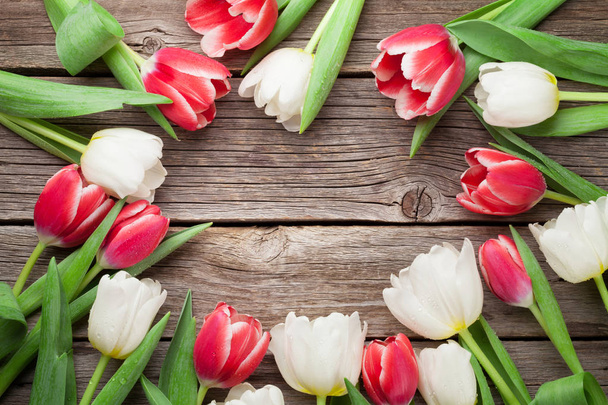 tulipanes rojos y blancos - Foto, Imagen